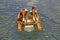 Two man ride with floating pedal bicycle boat