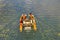 Two man ride with floating pedal bicycle boat