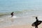 Two Man on a skimboard catching a wave in a beach in Aonang, Krabi ,Thailand