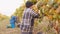 Two man workers standing on their knees gathering grape in baskets on a vineyard in autumn, seasonal work.