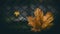 Two maple leaves on the background of the fence. fall foliage. High Quality Photo
