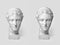 Two marble heads of young women, ancient Greek goddess bust before plastic surgery and after operation on light