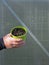 Two masculine hands are holding a pot with seedlings, wall of a greenhouse in the background