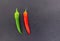 Two mature peppers sharp sharp pod contrast background black copy space design base