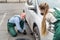 Two mechanics changing wheel in car on roadside