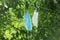 Two medical protective masks fixed with clothespin hang on clothesline in green trees, drying on air.