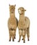 Two Medium and light fawn side by side alpacas - Lama pacos