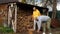 Two men chop firewood with an axe in the backyard in autumn.