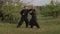 Two men do Wushu exercises in the fresh air. Master and disciple of tai Chi