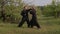 Two men do Wushu exercises in the fresh air. Master and disciple of tai Chi