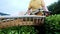 Two men are engaged in assembling tea in a tea plantation. Automatic tea assembly.