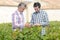 Two men inspecting grapevines