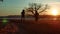 Two men on the road at sunset standing alone tree silhouette. Athletic young man running in the nature in Pine the