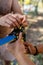 Two men setting up slacklining equipment in city park during summer day