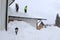 Two men shoveling high heavy snow from a house roof