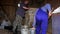 Two men sifting grain with vintage machine in rural farm barn