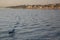 Two Men in a Small Boat on the Nile River, Egypt