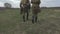 Two men, a soldier of the Soviet army of the Second World War and a military medic walk along the field in the war zone