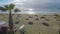 Two men sunbathing on the beach with straw parasols, vacation in Larnaca