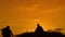 Two men tourists hikers silhouette go to the mountains sunset travel slow motion video. Traveler lifestyle successful