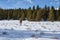 Two men walking in a field in the Bighorns