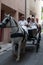 Two men and a woman in a horse and cart