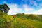 Two mens trekking at Prau Mountain, Dieng, Indonesia