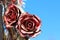 Two metal roses on a background of blue sky