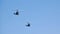 Two military helicopters flying in bright blue sky performing demonstration flight, aerobatic team