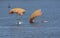 Two military parachutists landing on water, paratroopers training