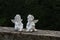 Two miniature angels on a stone wall