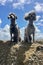 Two Miniature Poodles on the Beach