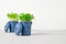 Two miniature trash containers with fresh seedlings growing against white brick wall. Growing seedlings in compost