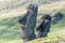 Two Moai Statues