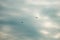 Two modern fighter jets flying in formation