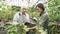 Two modern gardeners looking at leaves and discussing plant care in a greenhouse.