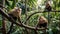 two monkeys that are sitting on a tree branch in a jungle