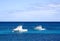 Two motor boats in blue sea