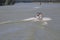 Two motorboats, going upwards the river Danube, Lower Austria