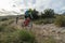 Two mountain bikers riding on hill