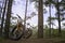 Two mountain bikes with helmets in the forest