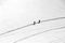 Two mountaineers walking across Mont Blanc high mountain range