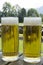 Two Mugs of Chilled Beer