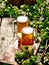 Two mugs of cold craft beer. A composition with freshly harvested hops.