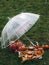 Two mugs of hot tea, pumpkins and apples are placed under a transparent umbrella on a cloth napkin.