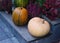 Two multicoloured pumkins at the window of the mystical flower shop.