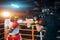 Two muscle boxers sport man training and fighting on boxing ring at gym