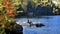 Two Muskoka chairs sitting on a rocky shore facing a calm lake with autumn leaf color