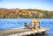 Two Muskoka chairs on a wood dock at a blue lake