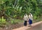 Two muslim schoolgirls in headscarves walk along road in jungle.